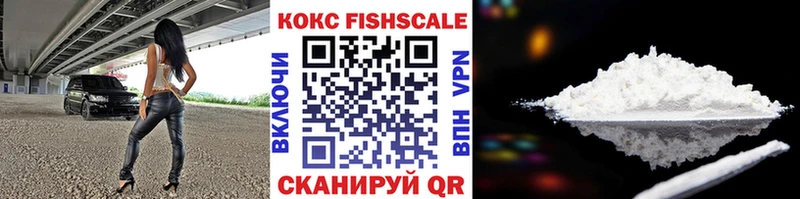 Cocaine Fish Scale  Купить закладки  Евпатория 
